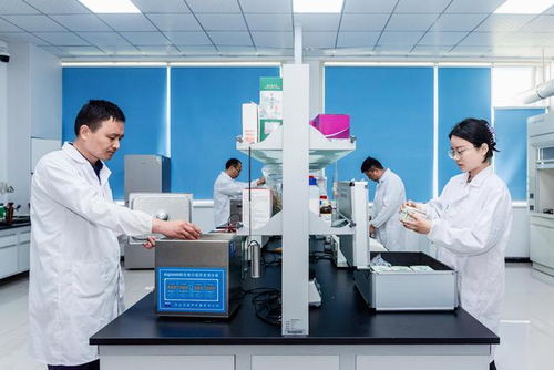 漯河食品工程職業大學獲批，中國食品名城迎來本科教育新突破與技術開發新機遇